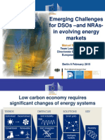 Emerging Challenges For DSOs and NRAs-In Evolving Energy Markets
