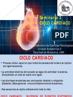 SEMINARIO 3. Ciclo cardiaco