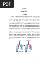 PDF Edema Paru Convert Compress