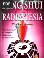 Download Feng Shui amp Radiestesia by marciorolim SN56381031 doc pdf