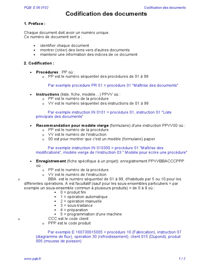 Codification des documents et procédures | PDF | Informatique ...