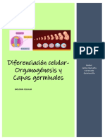 Diferenciación Celular- Organogénesis y Capas Germinales- Biología Celular