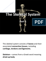 Skelteal System NP