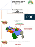Manejo agronómico del cultivo de maní (Arachis hypogea) en los Llanos Orientales de Venezuela