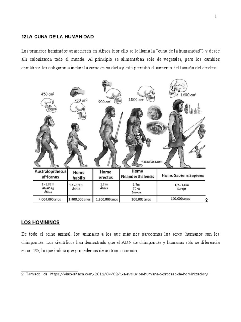 La Cuna de La Humanidad | PDF | Homo | neanderthal