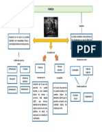 Mapa Conceptual Pobreza