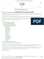 Guide Visuel Des Carences Nutritionnelles de Votre Plante de Cannabis - Dutch Passion - PDF Version 1