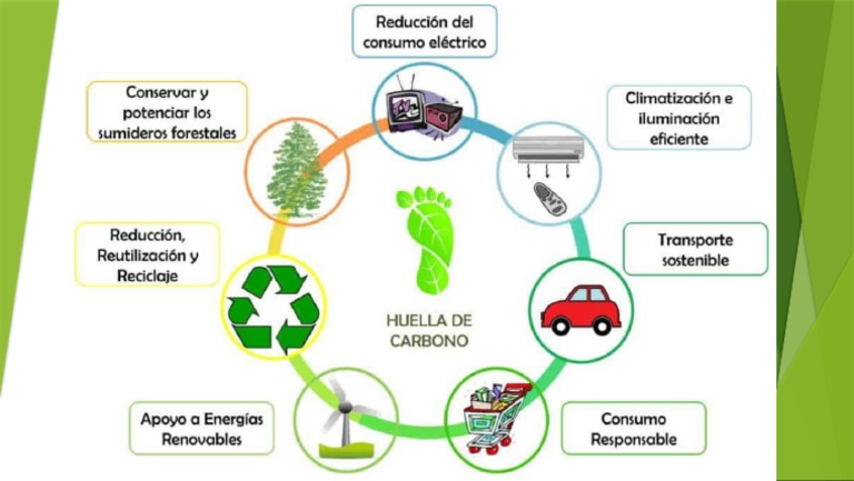Medidas para Reducir La Huella de Carbono | PDF