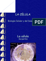 Célula y Membrana