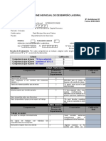 Informe de Desempeno Laboral