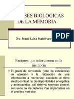 Bases Biologica Memoria