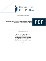 PYT Informe Final Proyecto GelatinaCamuCamu