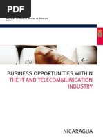 Business Opportunities Within the It Industry