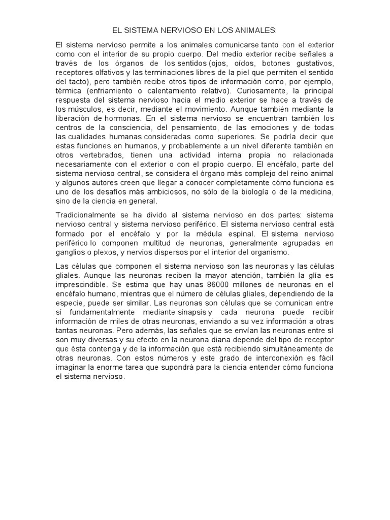Funciones del Sistema Nervioso Animal | PDF | Sistema nervioso | Neurona