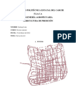 Tarea Curvas de Nivel. El Oro