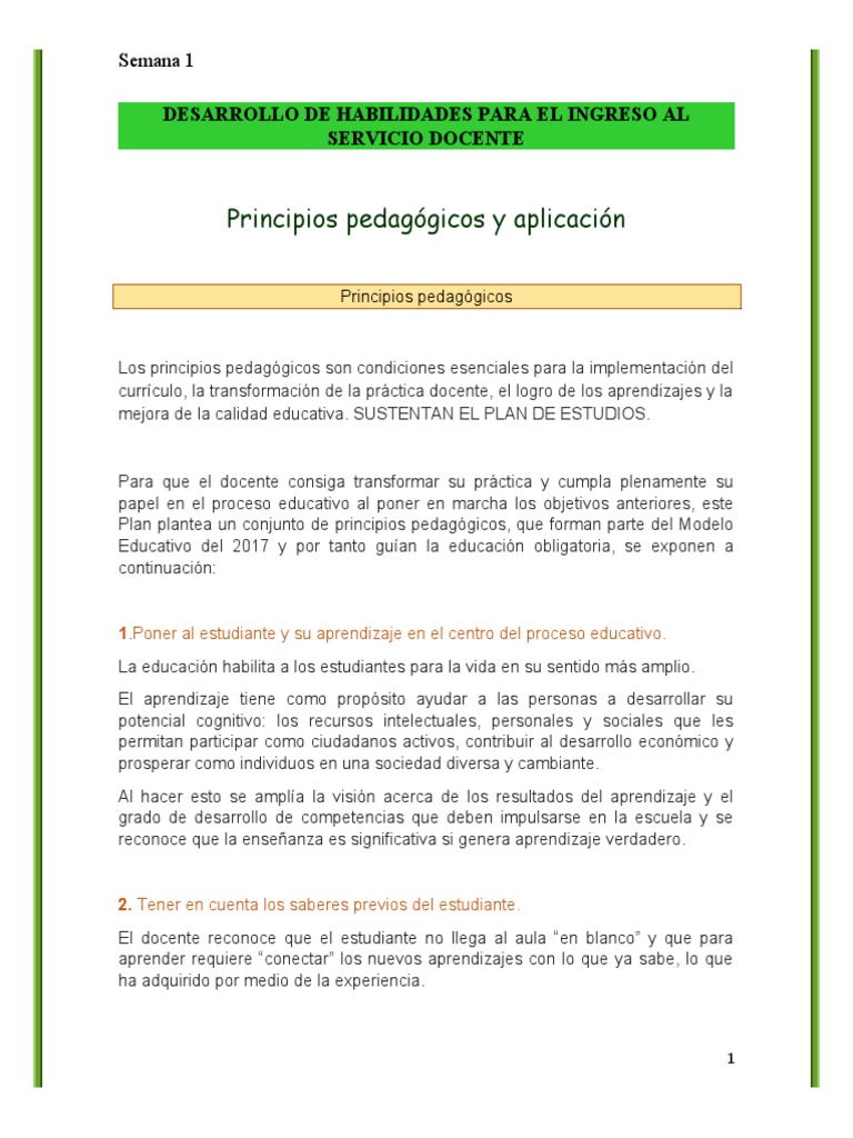 Principios Pedagógicos para Docentes | PDF | Aprendizaje | Plan de estudios