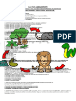 Avaliação Cadeias e Teias Alimentares