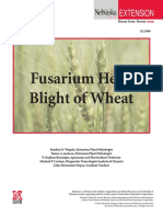 Fusarium Head Blight of Wheat: Extension