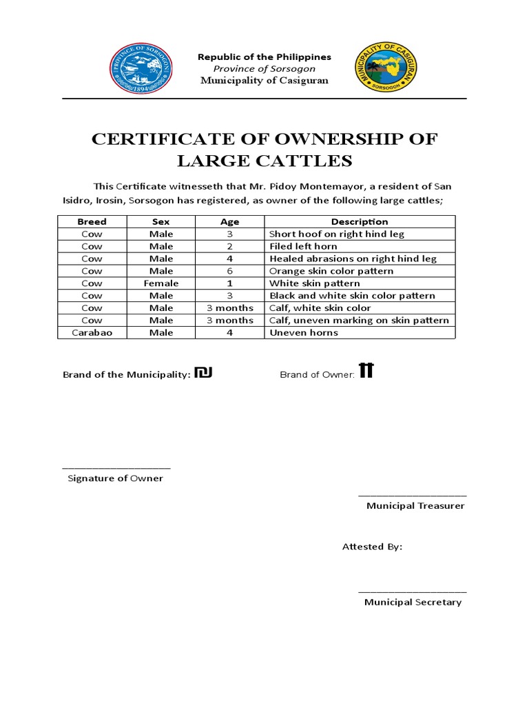 Certificate of Ownership of Large Cattles Republic of The Philippines