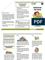 PDF Leaflet Post Partum DD