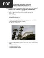 Projeto 1 2021_2