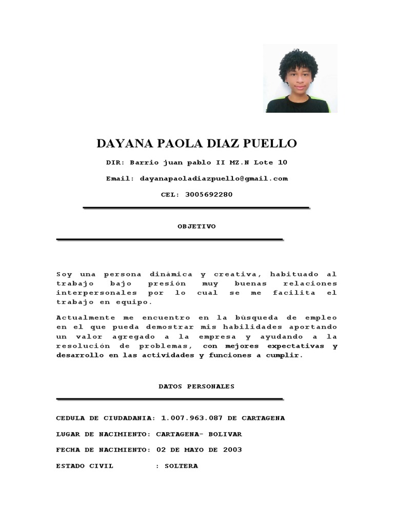 Perfil Profesional de Dayana Díaz Puello | PDF | Cognición