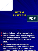 BAB 8 SISTEM EKSKRESI