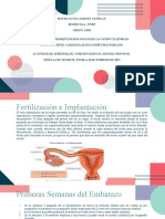 Presentación Del Sistema Nervioso1 (Autoguardado)