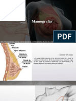 Mamografía (1) DBV