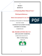 "The Study of Marketing Bisleri Mineral Water": A Project Report On