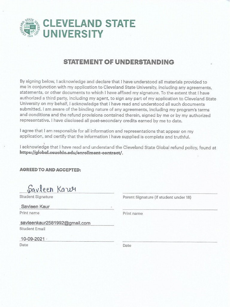 Statement of Understanding PDF