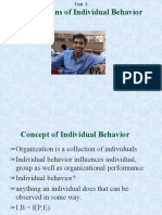 2 - Foundations of Individual Behavior