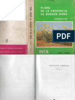 Flora de La Provincia de Buenos Aires VI 1963 - Compuestas - Cabrera