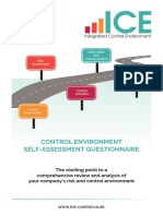 Control Environment Self-Assessment Questionnaire