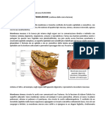 Anatomia #2