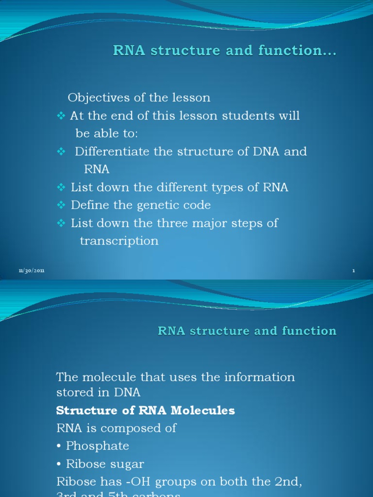 RNA Structure and Functionpharmacy | PDF | Rna | Promoter (Genetics)