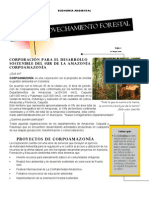 Aprovechamiento Forestal