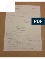 GEORGESCU Diana Mihaela - Biofizică Examen