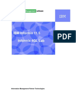 IBM Informix 11.5 Informix 4GL Lab: Information Management Partner Technologies