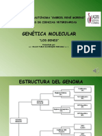 Genética Molecular ESTRUCTURA DE LOS GENES 2020