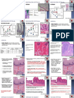 Clase 2a Histología Del Aparato Digestivo