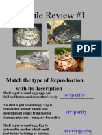 Reptile Review
