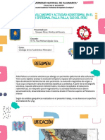 Evolución Del Vulcanismo Palla Palla - Vásquez Pérez Maritza - Yacimientos I