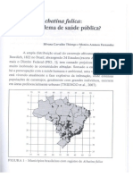 Achatina Fulica Um Problema de Saude Publica