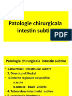 Patologia Intestinului Subtire. Boala Krohn