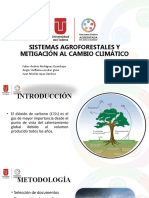 Sistemas Agroforestales y Mitigacion Al Cambio Climatico