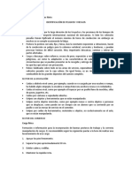 Identificación de Peligros y Riesgos Según Su Actividad Económica o Laboral - Segunda Parte