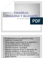 Pancreas