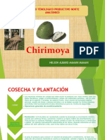 Chirimoya Compu