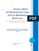 ResumodeMarketingparanovasEmpresasEnxutas Pof - RennerdeBrito